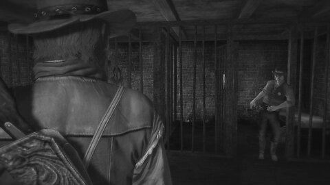Red Dead Redemption Episode 2: This is Armadillo, USA