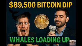Bitcoin Drops to $89,500 - Why Whales Are Accumulating While You Panic