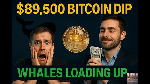 Bitcoin Drops to $89,500 - Why Whales Are Accumulating While You Panic
