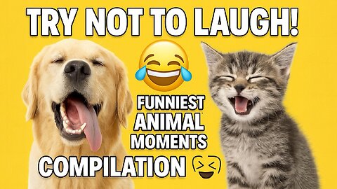 Try Not to Laugh! 🤣 Funniest Animal Moments Compilation