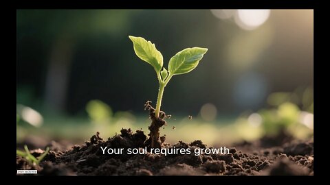 Tired of Being Strong? Use This Sweet Spot to Master ALCHEMY & EASE