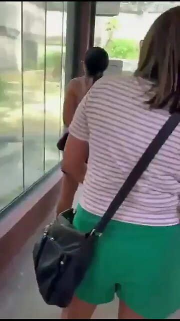 In Brazil, a 19-year-old boy climbed into a lion enclosure and was