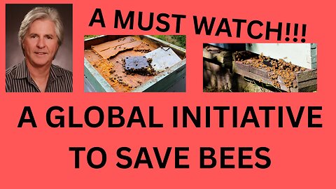 A MUST WATCH!!! HOW WE CAN HELP THE BEE POPULATIONS! INTERVIEW WITH 4RBEES FOUNDER BRENT KNUDSEN