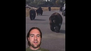 Animals leaving Yellow Stone Park?