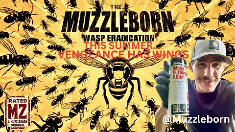 🔥 Wasp Eradication: One Hive. No Survivors.