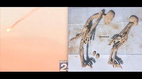 SPECTACULAR FIREBALL SEEN OVER MAINE*NEW REPTILIAN HYBRID SPECIES DISCOVERED WITH FORKED TALES!