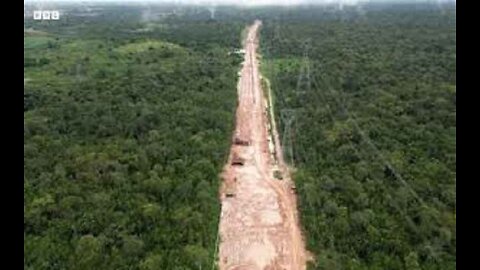 Rainforest Decimated to Build Massive Road for UN Climate Change Summit