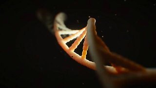 Proof of God in the code of DNA (Intelligent Design)