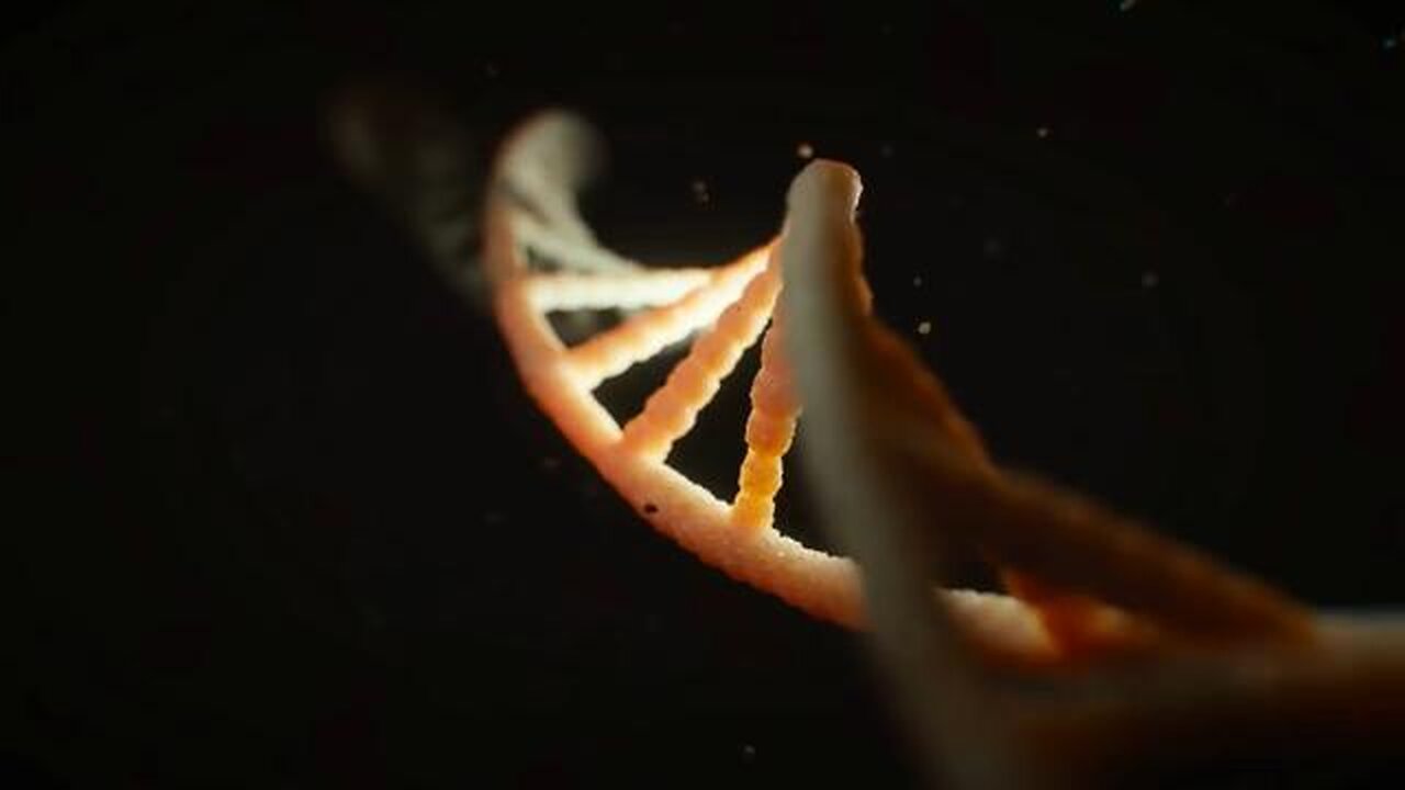 Proof of God in the code of DNA (Intelligent Design)