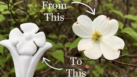 Nature Inspired: The Plaster Dogwood Flower!