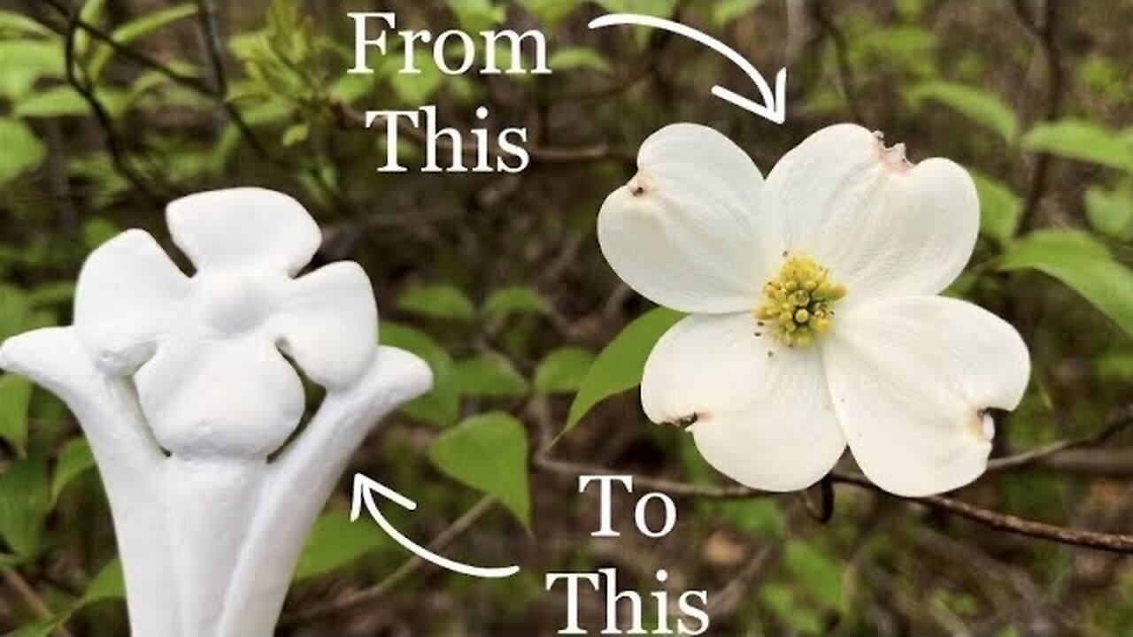 Nature Inspired: The Plaster Dogwood Flower!