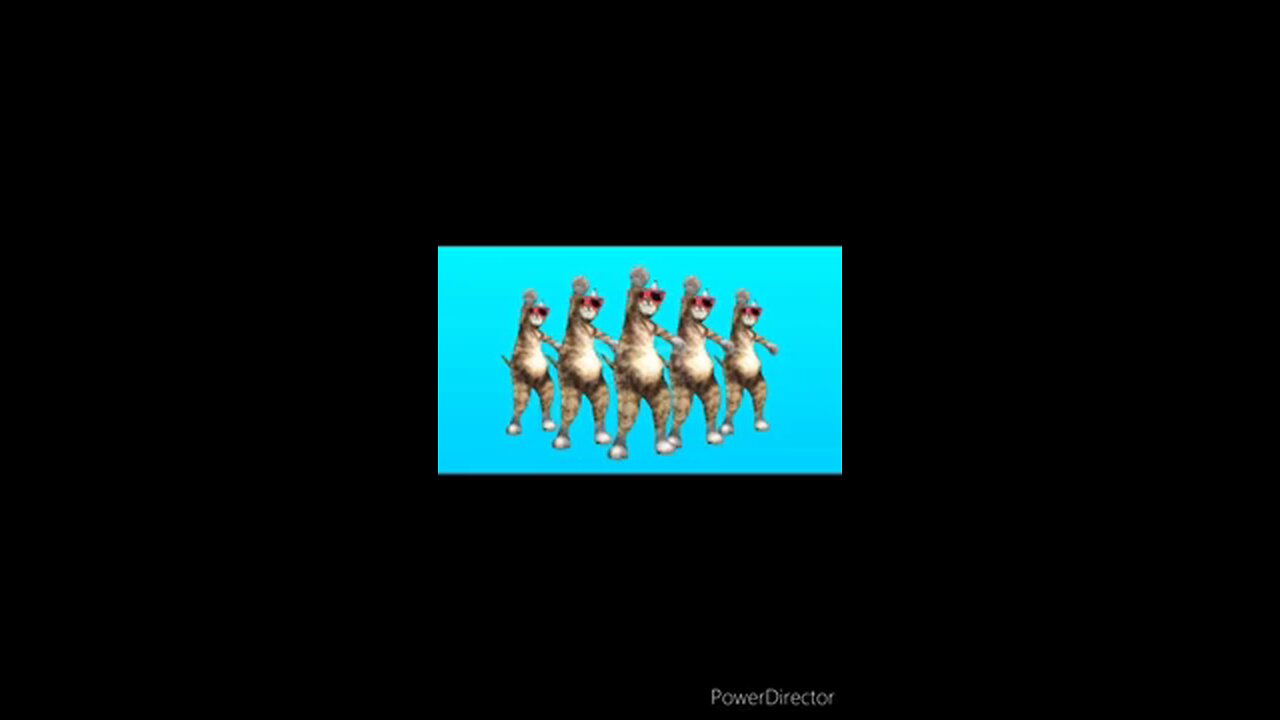 càt group dance