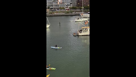 Mccovey cove