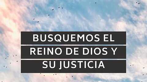 🕊 ️Busquemos el reino de Dios y su justicia | Mateo 6:33