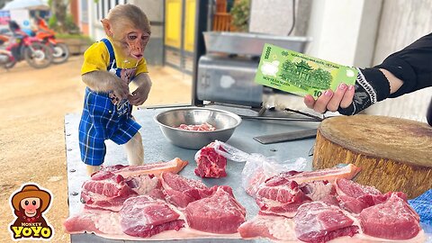 Smart monkey YiYi helps grandpa go to the market to buy meat to cook for DoDo puppy