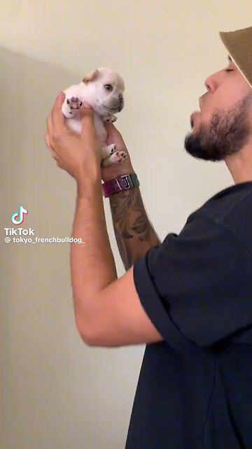 Little pup showing of