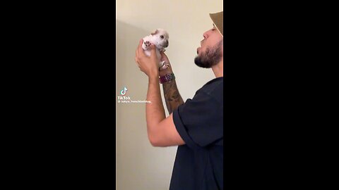 Little pup showing of