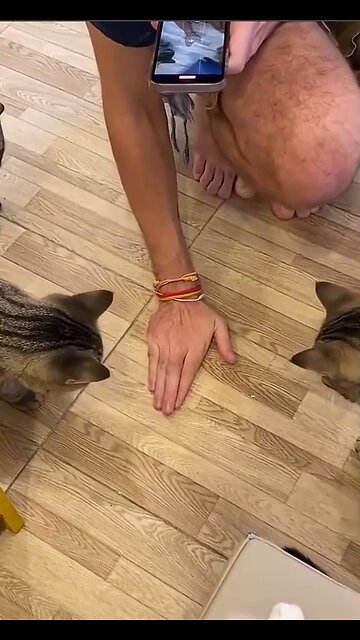 The most agile and cunning won!