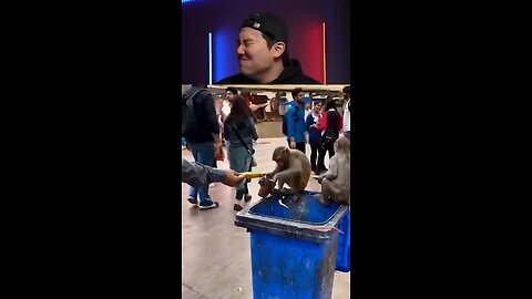 Try not to laugh -9