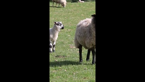 Daily Verse December 12th 2025