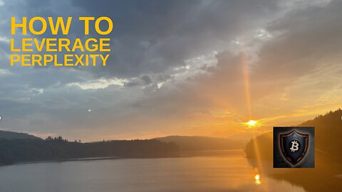 Citadel Summer Episode 11: How to Leverage Perplexity