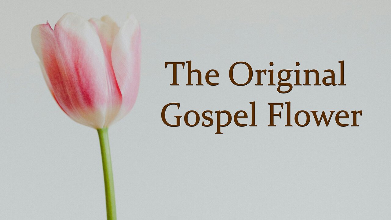 The Original Gospel Flower - Sermon