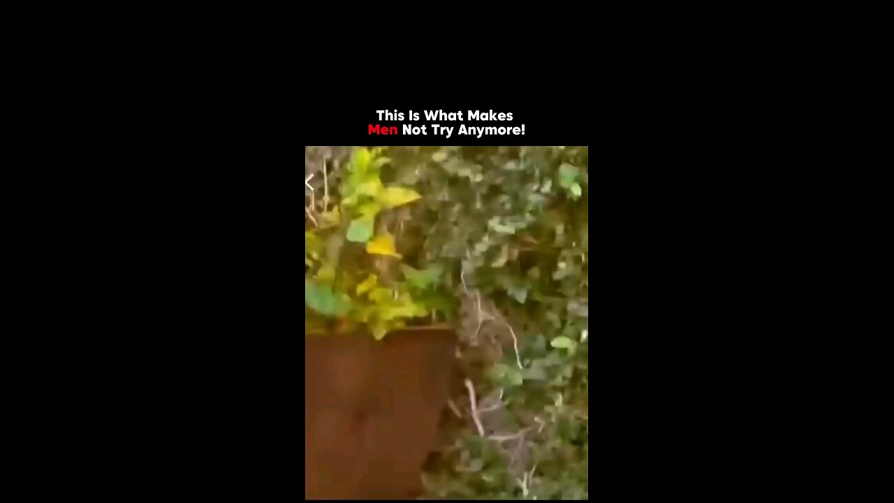 😶🌫️