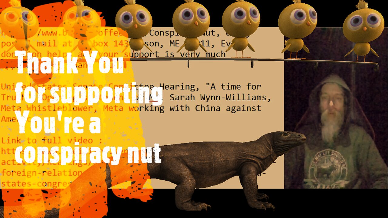 Sarah Wynn-Williams, Meta Whistleblower, Meta is working with China against America