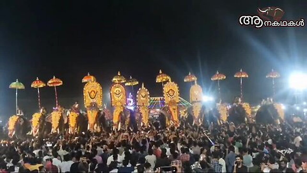 ഇടഞ്ഞ ആനയെ തളച്ചു ലോറിയിൽ കൊണ്ടുപോയി _ Elephant attack kerala 2025 _ Ezhuthupurakkal ganga prasad