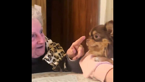 Sigue visitando a la amiga de su abuela para alegrarla con su perro