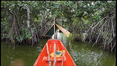 SOLO CAMPING IN MANGROVE FOREST CATHING FISH AND COOKING AND EATING