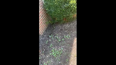 Crazy lib in Ohio taunts Man with TBI tells him to kill himself