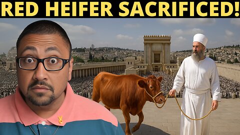 A Red Heifer Was Just Sacrificed In Preparation For The Temple!
