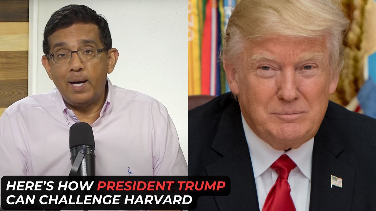 Here's How Trump Can Challenge Harvard | Dinesh D'Souza