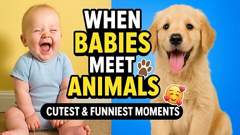 When Babies Meet Animals for the First Time 🐾🥰 | Cutest & Funniest Moments