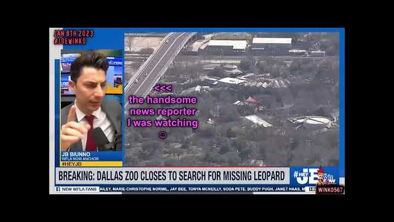 2023 01 08 - Handsome News Reporter Notices Joe Winko