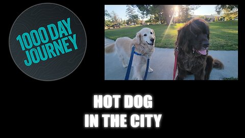 1000 Day Journey 0762 Hot Dog in the City