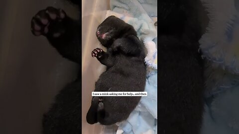 The man found a hole in the lake and found her a house