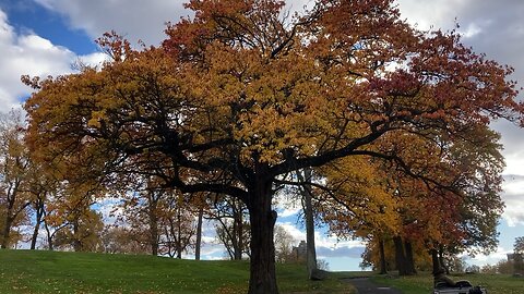 Fall Foliage @ Mosholu Golf Course (Bronx)
