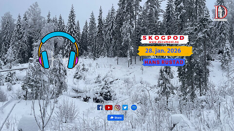 Skogpod 28. januar 2026