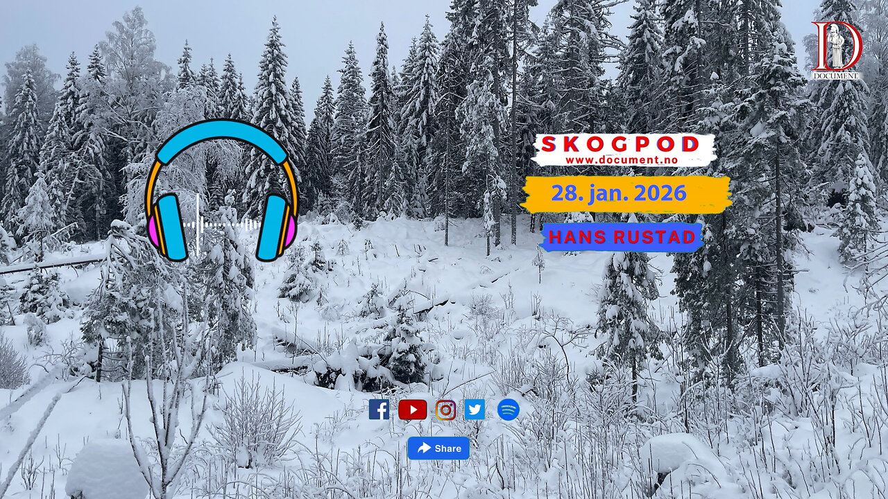 Skogpod 28. januar 2026