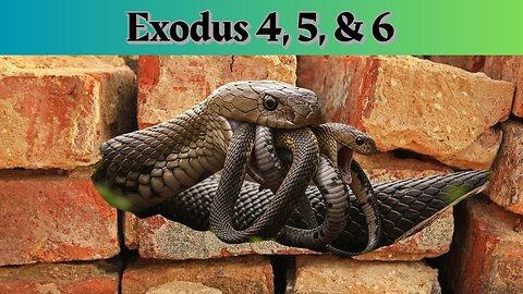 Exodus 4-6