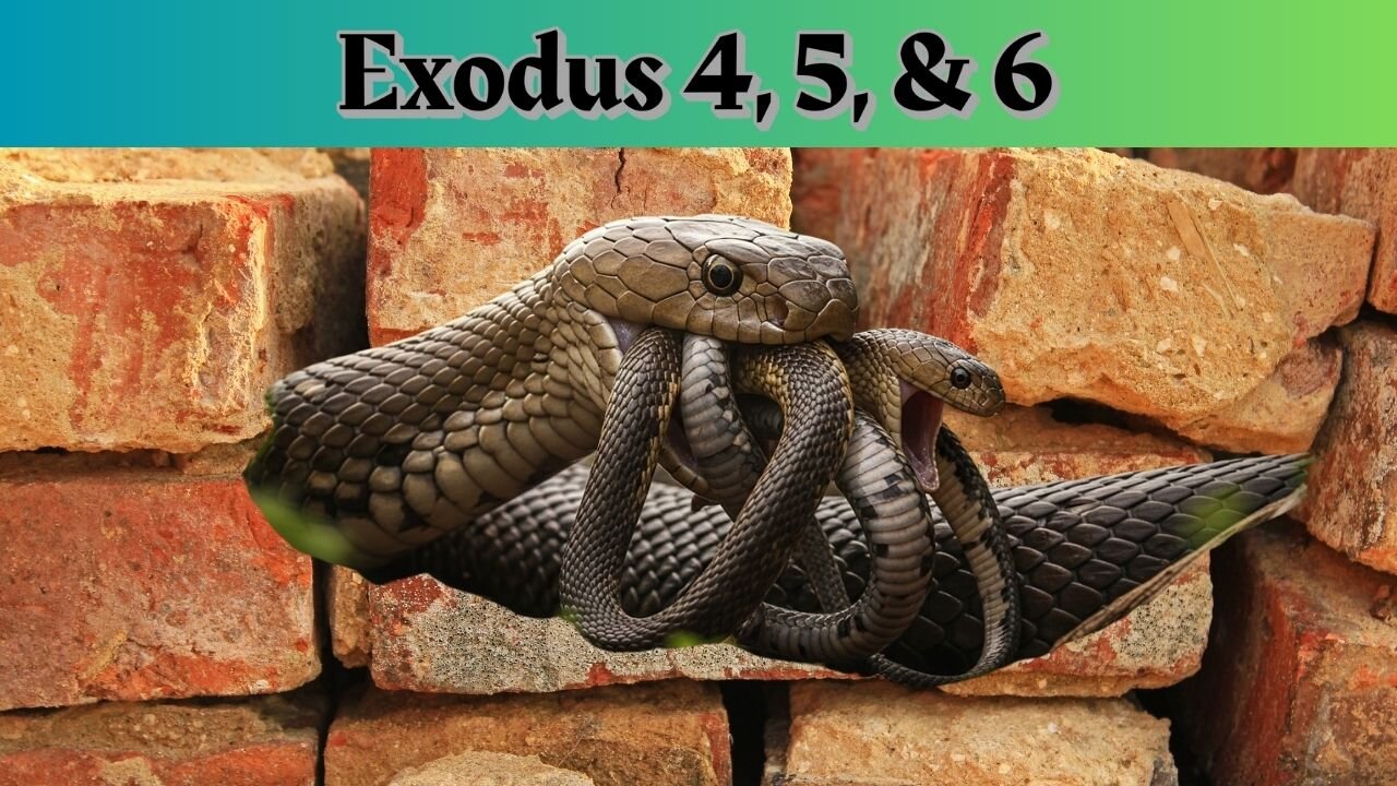 Exodus 4-6