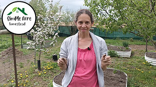 Let there be Fruit! Expanding my garden fruit selection.
