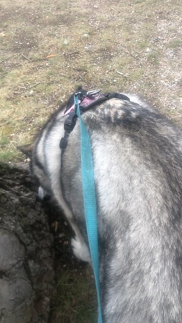 Friday May 2, The Earth is the Lord’s and everything in it.