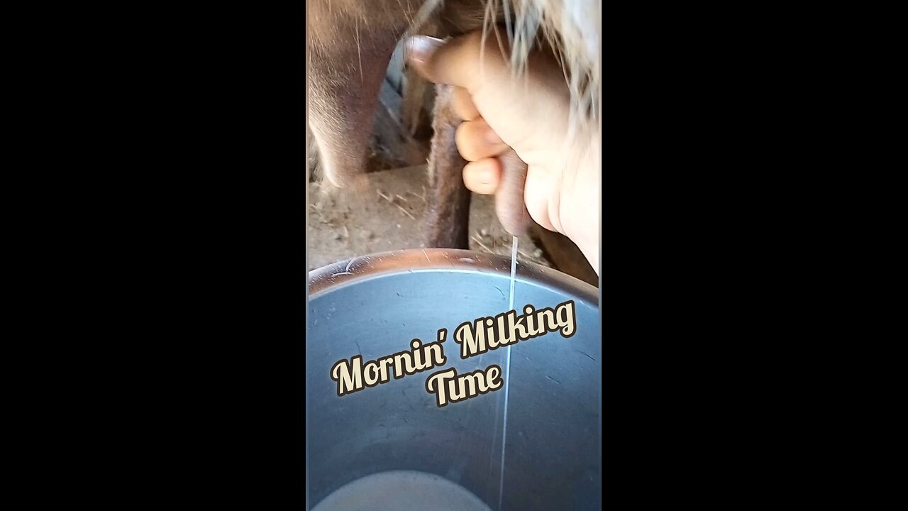 Our new farm helper ☺️...