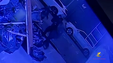 Off-Duty NYPD Housing Officer Viciously Attacked and Robbed in Bronx
