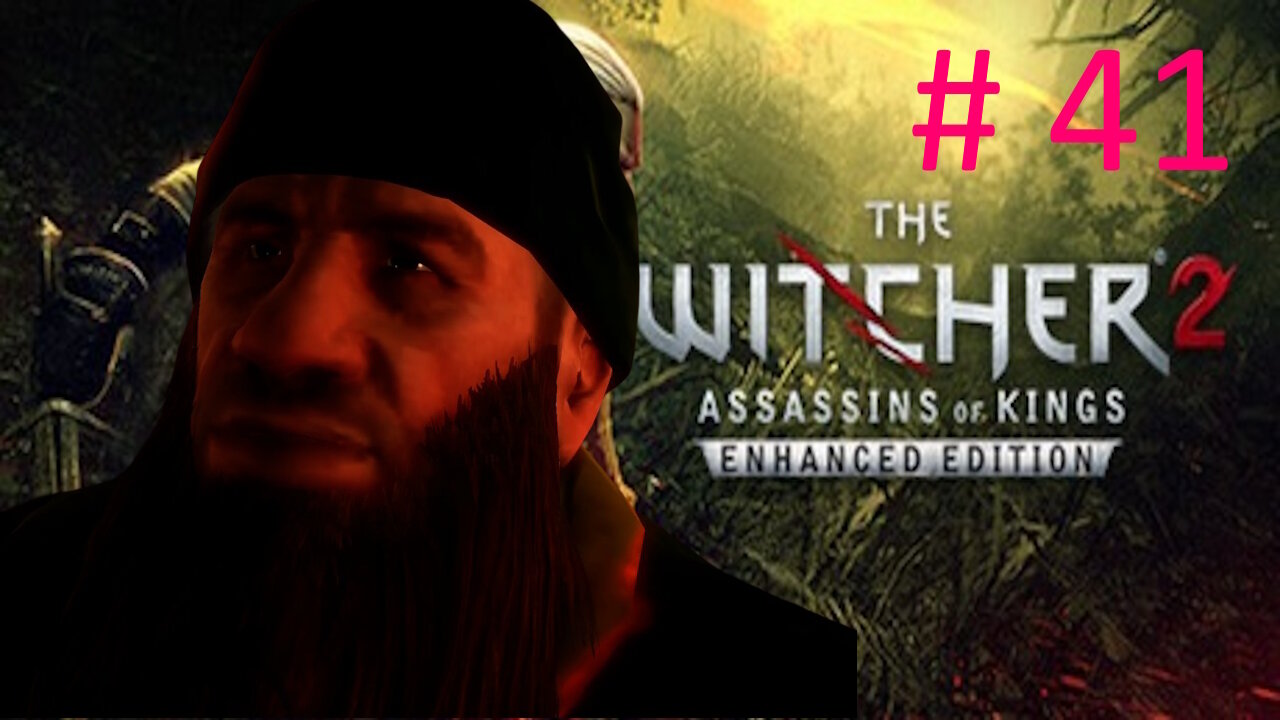 Let's Play Witcher 2 BLIND # 41 🌟Stolen Dreams🌟