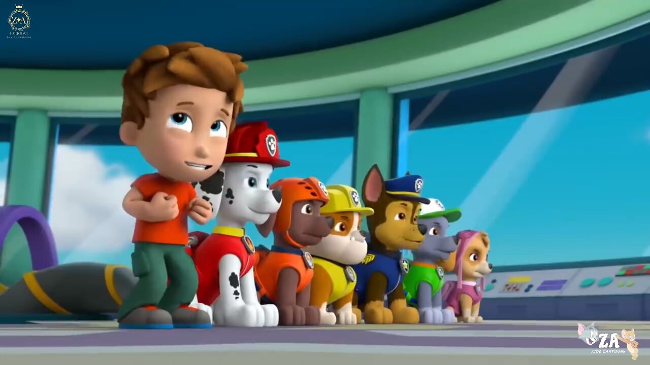 PAW Patrol Cartoons