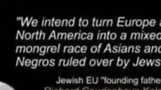 WHITE MAN DESTRUCTION TO ENTER FINAL STAGE! - Nemesis Now